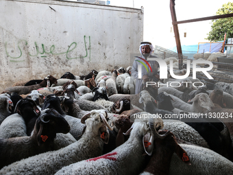 Khadir Al-Saidi, A Palestinian, Sells Livestock At His Farm In The Town Of At-Tur On Friday, June 14,2024 In East Jerusalem. Meanwhile, Musl...