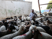 Khadir Al-Saidi, A Palestinian, Sells Livestock At His Farm In The Town Of At-Tur On Friday, June 14,2024 In East Jerusalem. Meanwhile, Musl...