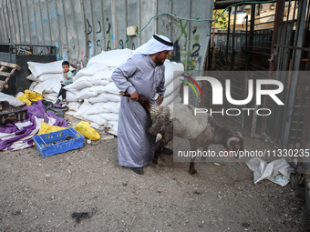 Khadir Al-Saidi, A Palestinian, Sells Livestock At His Farm In The Town Of At-Tur On Friday, June 14,2024 In East Jerusalem. Meanwhile, Musl...