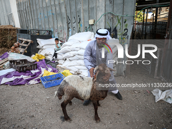 Khadir Al-Saidi, A Palestinian, Sells Livestock At His Farm In The Town Of At-Tur On Friday, June 14,2024 In East Jerusalem. Meanwhile, Musl...