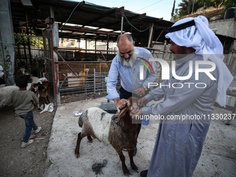 Khadir Al-Saidi, A Palestinian, Sells Livestock At His Farm In The Town Of At-Tur On Friday, June 14,2024 In East Jerusalem. Meanwhile, Musl...