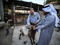 Khadir Al-Saidi, A Palestinian, Sells Livestock At His Farm In The Town Of At-Tur On Friday, June 14,2024 In East Jerusalem. Meanwhile, Musl...