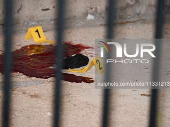 Evidence markers are showing where blood is being found and other evidence at the crime scene where a 13-year-old is being shot and critical...