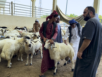 A customer is inspecting sheep at the livestock market ahead of the Muslim festival of Eid al-Adha in Doha, Qatar, on June 15, 2024. Muslims...