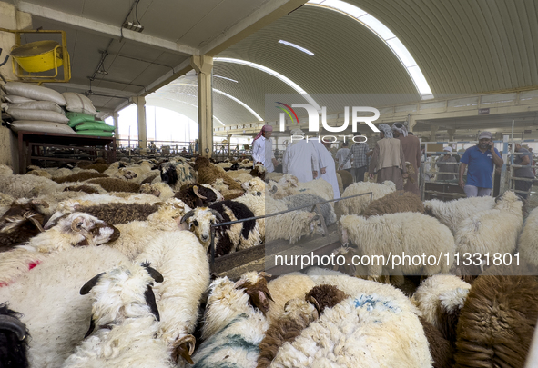 A general view of the livestock market ahead of the Muslim festival of Eid al-Adha in Doha, Qatar, on June 15, 2024. Muslims in Qatar are ce...