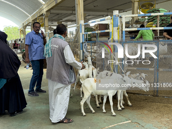 Sheep vendors are awaiting customers at the livestock market ahead of the Muslim festival of Eid al-Adha in Doha, Qatar, on June 15, 2024. M...