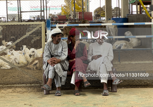 Sheep vendors are awaiting customers at a livestock market ahead of the Muslim festival of Eid al-Adha in Doha, Qatar, on June 15, 2024. Mus...