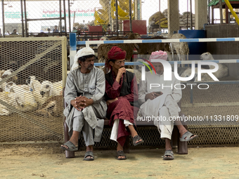 Sheep vendors are awaiting customers at a livestock market ahead of the Muslim festival of Eid al-Adha in Doha, Qatar, on June 15, 2024. Mus...