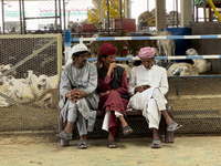 Sheep vendors are awaiting customers at a livestock market ahead of the Muslim festival of Eid al-Adha in Doha, Qatar, on June 15, 2024. Mus...