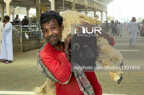 A man is carrying a sheep at a livestock market ahead of the Muslim festival of Eid al-Adha in Doha, Qatar, on June 15, 2024. Muslims in Qat...