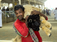 A man is carrying a sheep at a livestock market ahead of the Muslim festival of Eid al-Adha in Doha, Qatar, on June 15, 2024. Muslims in Qat...