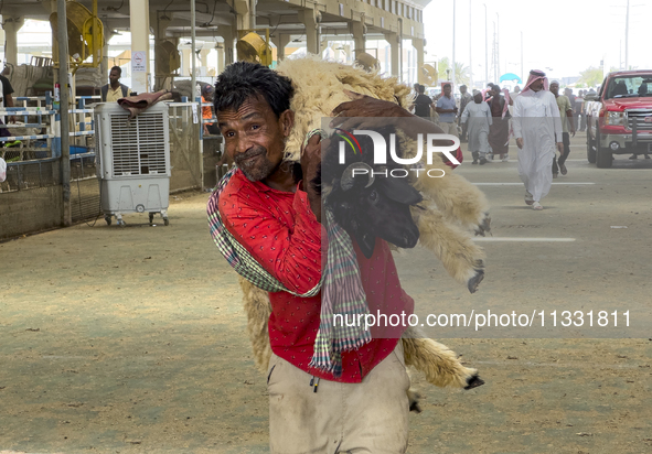 A man is carrying a sheep at a livestock market ahead of the Muslim festival of Eid al-Adha in Doha, Qatar, on June 15, 2024. Muslims in Qat...