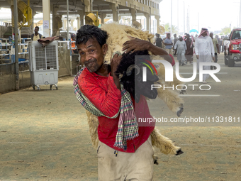 A man is carrying a sheep at a livestock market ahead of the Muslim festival of Eid al-Adha in Doha, Qatar, on June 15, 2024. Muslims in Qat...