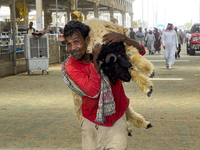 A man is carrying a sheep at a livestock market ahead of the Muslim festival of Eid al-Adha in Doha, Qatar, on June 15, 2024. Muslims in Qat...