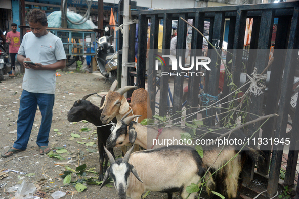 Livestock vendors are waiting for customers as they are selling their goats at a roadside market near the Jama Masjid in Siliguri, India, on...