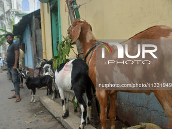 Livestock vendors are waiting for customers as they are selling their goats at a roadside market near the Jama Masjid in Siliguri, India, on...