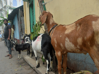 Livestock vendors are waiting for customers as they are selling their goats at a roadside market near the Jama Masjid in Siliguri, India, on...