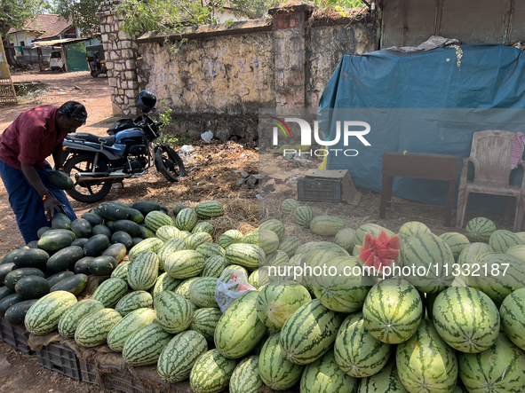 Watermelons are being sold along the roadside in Thiruvananthapuram (Trivandrum), Kerala, India, on April 10, 2024. 