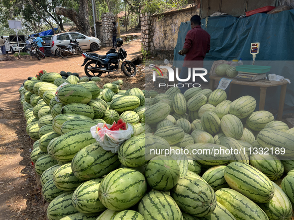 Watermelons are being sold along the roadside in Thiruvananthapuram (Trivandrum), Kerala, India, on April 10, 2024. 