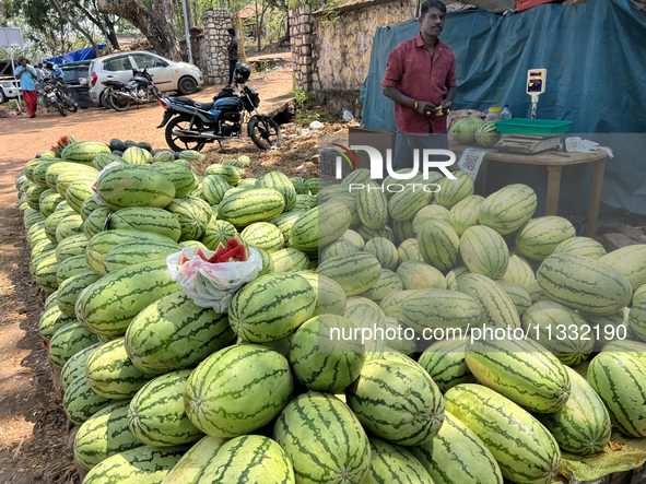 Watermelons are being sold along the roadside in Thiruvananthapuram (Trivandrum), Kerala, India, on April 10, 2024. 