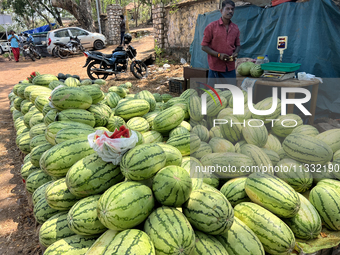 Watermelons are being sold along the roadside in Thiruvananthapuram (Trivandrum), Kerala, India, on April 10, 2024. (