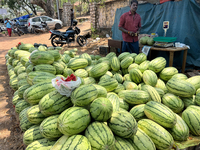 Watermelons are being sold along the roadside in Thiruvananthapuram (Trivandrum), Kerala, India, on April 10, 2024. (