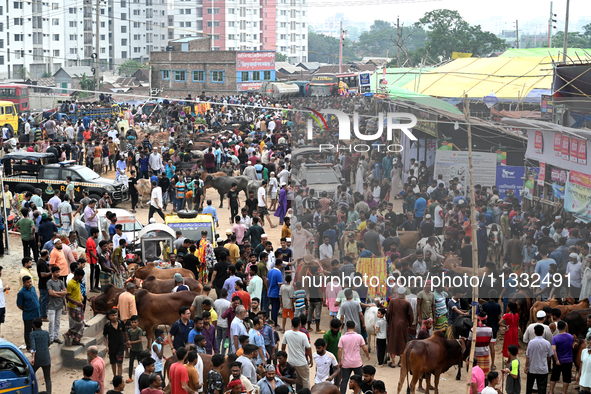 A view of a makeshift cattle market where traders wait for customers to sell sacrificial animals ahead of the Muslim festival Eid al-Adha in...