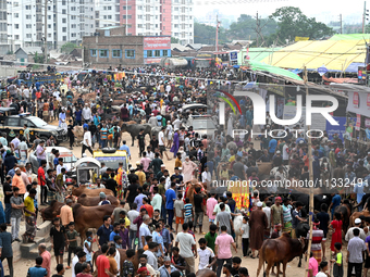 A view of a makeshift cattle market where traders wait for customers to sell sacrificial animals ahead of the Muslim festival Eid al-Adha in...