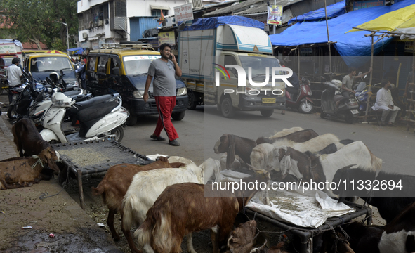 A man is talking on his mobile phone as he is walking past a livestock market on the eve of the Muslim festival of Eid-al-Adha in Mumbai, In...