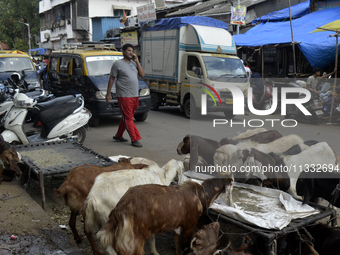 A man is talking on his mobile phone as he is walking past a livestock market on the eve of the Muslim festival of Eid-al-Adha in Mumbai, In...