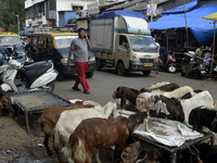 A man is talking on his mobile phone as he is walking past a livestock market on the eve of the Muslim festival of Eid-al-Adha in Mumbai, In...