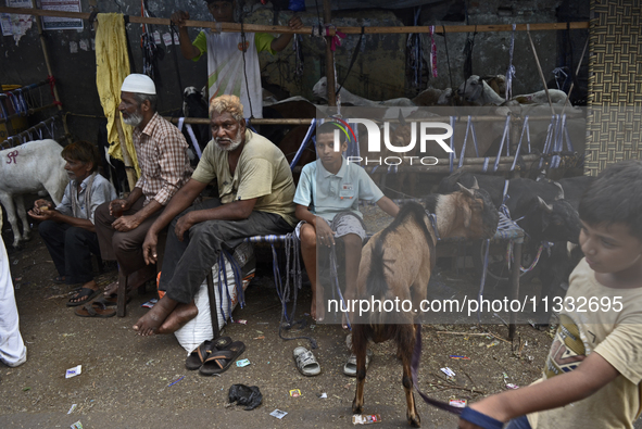 Sellers are sitting in front of the goats at a livestock market on the eve of the Muslim festival of Eid-al-Adha in Mumbai, India, on June 1...