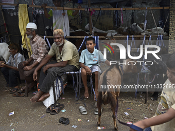 Sellers are sitting in front of the goats at a livestock market on the eve of the Muslim festival of Eid-al-Adha in Mumbai, India, on June 1...