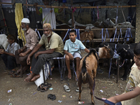 Sellers are sitting in front of the goats at a livestock market on the eve of the Muslim festival of Eid-al-Adha in Mumbai, India, on June 1...