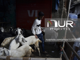 Goats are being seen in a livestock market on the eve of the Muslim festival of Eid-al-Adha in Mumbai, India, on June 15, 2024. Muslims worl...