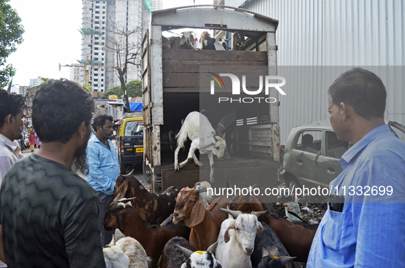 Goats are being taken out from a mini truck in a livestock market on the eve of the Muslim festival of Eid-al-Adha in Mumbai, India, on June...