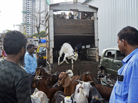 Goats are being taken out from a mini truck in a livestock market on the eve of the Muslim festival of Eid-al-Adha in Mumbai, India, on June...