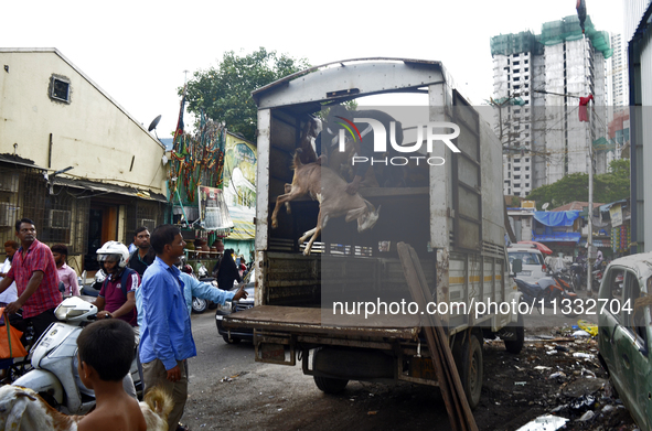 Goats are being taken out from a mini truck in a livestock market on the eve of the Muslim festival of Eid-al-Adha in Mumbai, India, on June...