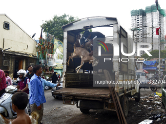 Goats are being taken out from a mini truck in a livestock market on the eve of the Muslim festival of Eid-al-Adha in Mumbai, India, on June...