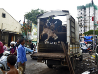 Goats are being taken out from a mini truck in a livestock market on the eve of the Muslim festival of Eid-al-Adha in Mumbai, India, on June...