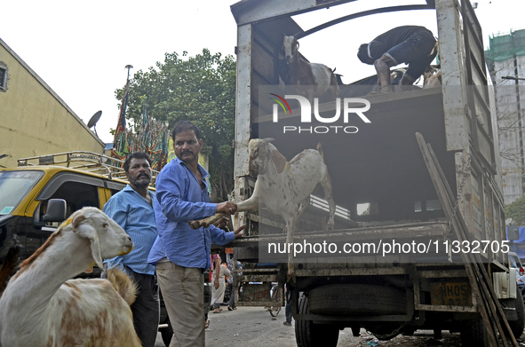 Goats are being taken out from a mini truck in a livestock market on the eve of the Muslim festival of Eid-al-Adha in Mumbai, India, on June...