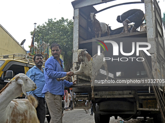 Goats are being taken out from a mini truck in a livestock market on the eve of the Muslim festival of Eid-al-Adha in Mumbai, India, on June...