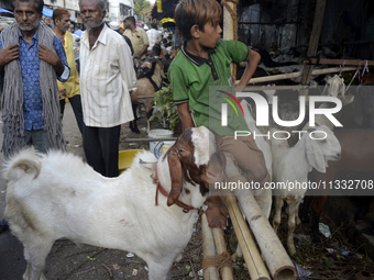 Goats are being seen in a livestock market in Mumbai, India, on June 15, 2024, on the eve of the Muslim festival of Eid-al-Adha. Muslims wor...