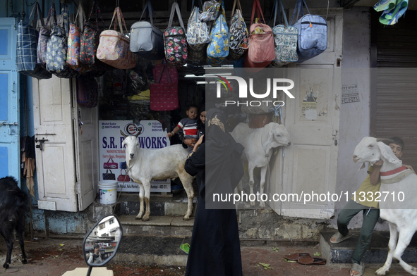 Muslim women are standing in front of a bag shop where a goat is tied, near a livestock market, on the eve of the Muslim festival of Eid-al-...