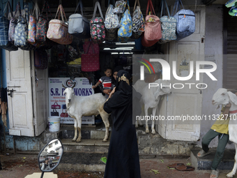 Muslim women are standing in front of a bag shop where a goat is tied, near a livestock market, on the eve of the Muslim festival of Eid-al-...