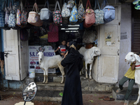 Muslim women are standing in front of a bag shop where a goat is tied, near a livestock market, on the eve of the Muslim festival of Eid-al-...