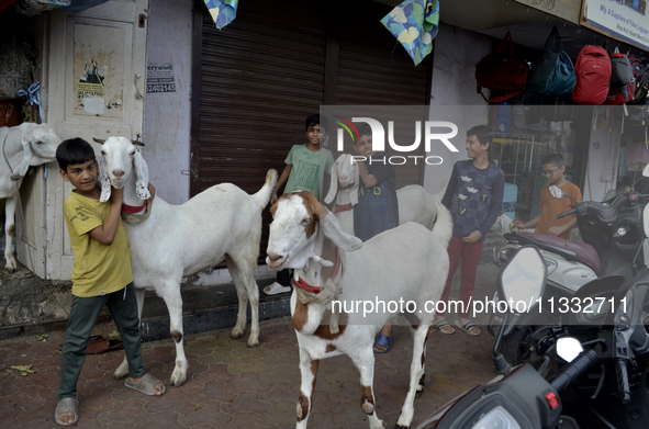 Children are posing with goats near a livestock market on the eve of the Muslim festival of Eid-al-Adha in Mumbai, India, on June 15, 2024....