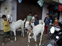 Children are posing with goats near a livestock market on the eve of the Muslim festival of Eid-al-Adha in Mumbai, India, on June 15, 2024....