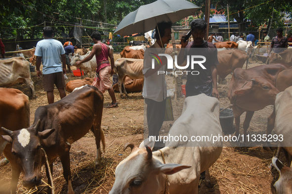 People are buying sacrificial animals from a cattle market on a hot summer day, ahead of Eid al-Adha celebrations on the outskirts of Kolkat...