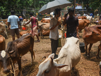 People are buying sacrificial animals from a cattle market on a hot summer day, ahead of Eid al-Adha celebrations on the outskirts of Kolkat...